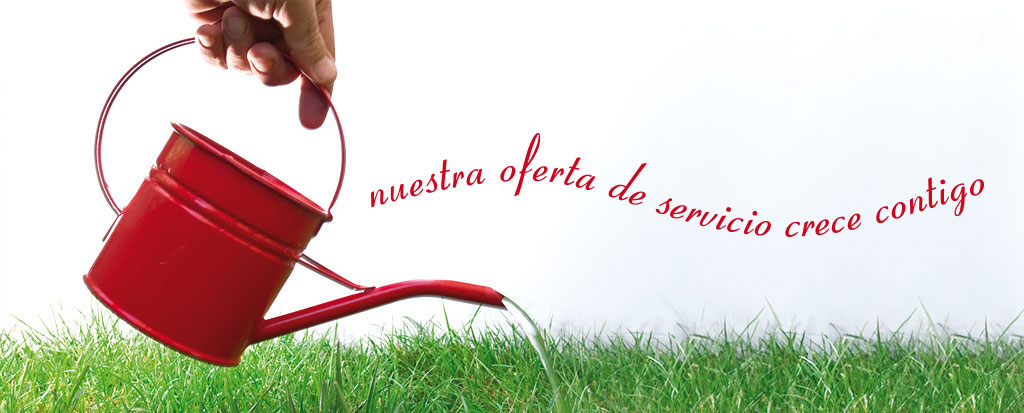 Servicios